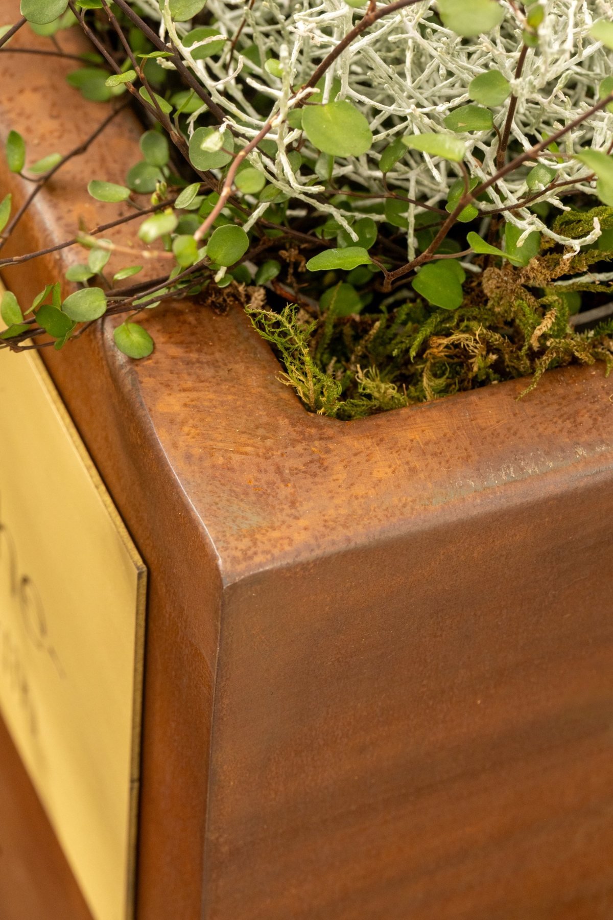 Détail d'une jardinière en acier corten plié et soudé, plantée de mousse et de végétaux