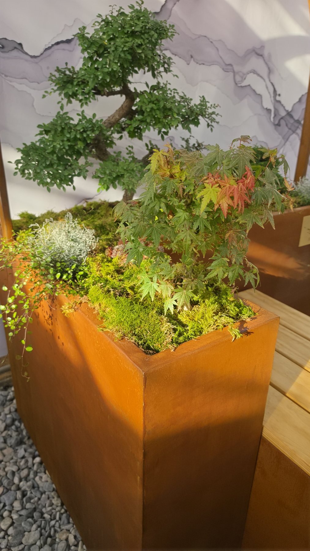 Jardinière sur mesure en acier corten plantée d'un érable et de végétaux