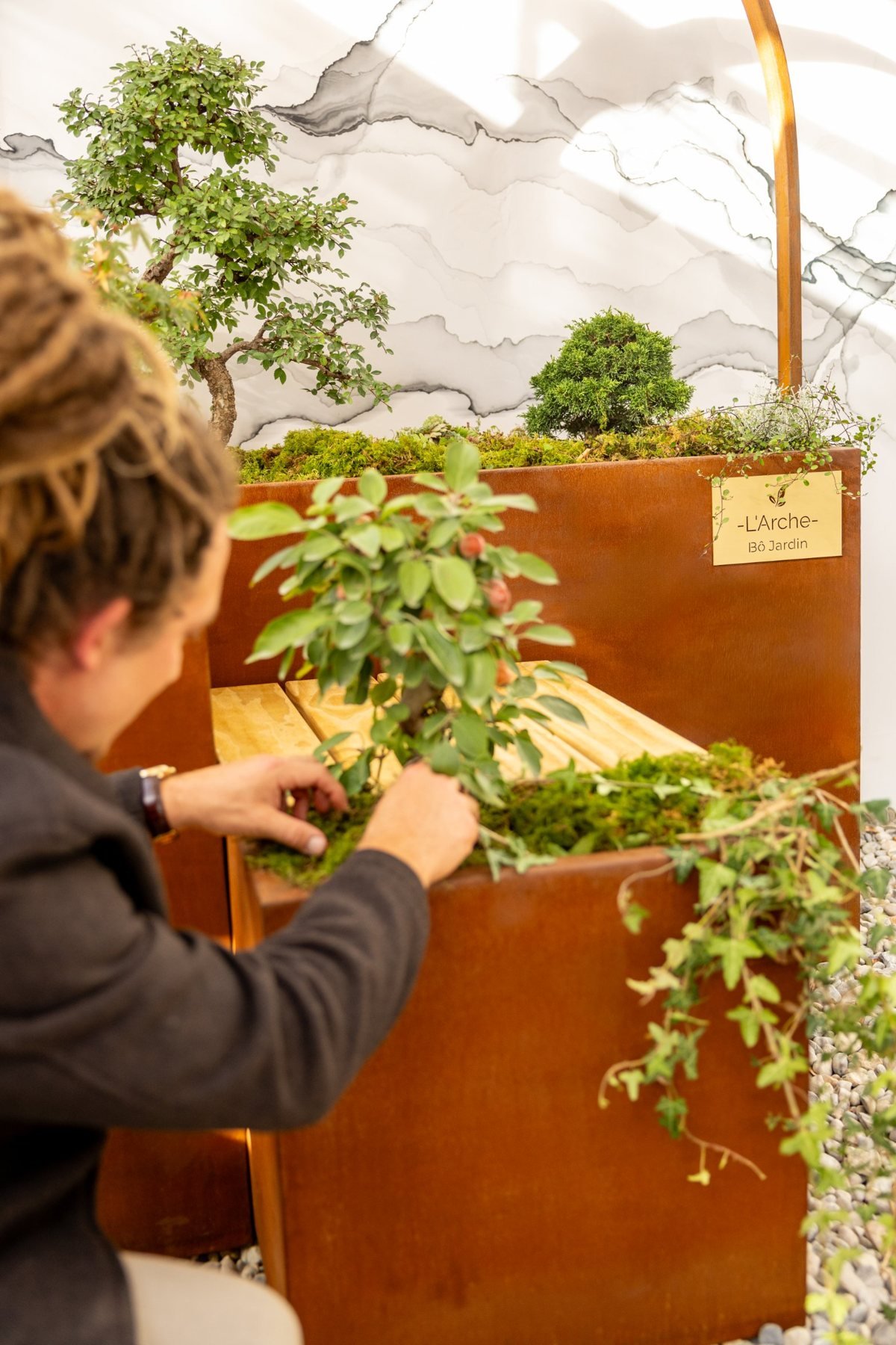 Bonsaï et plantes devant l'arche en acier de Bô Jardin